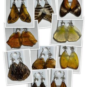 Butterfly Earring Wholesale Packs