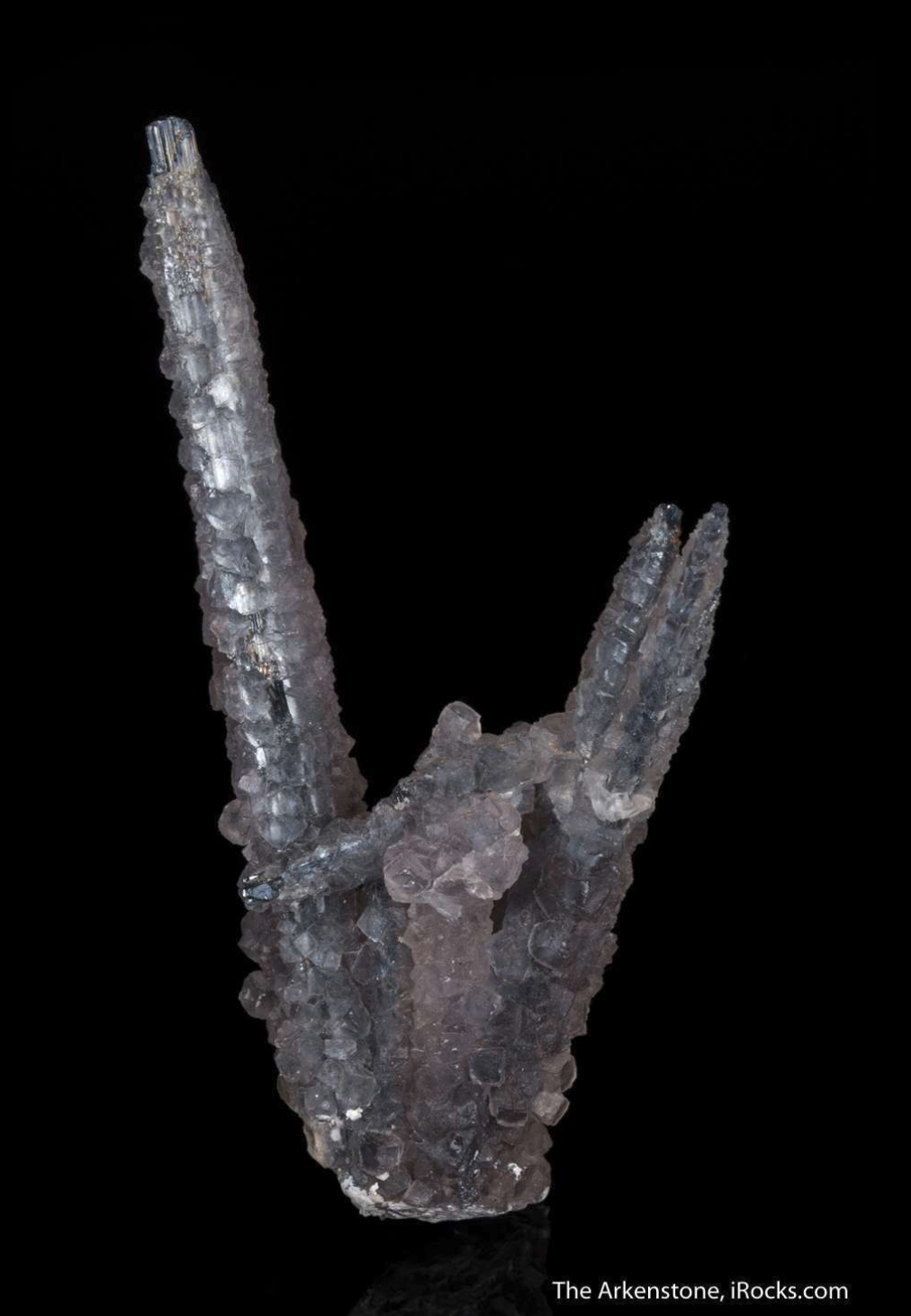 Specimen 3